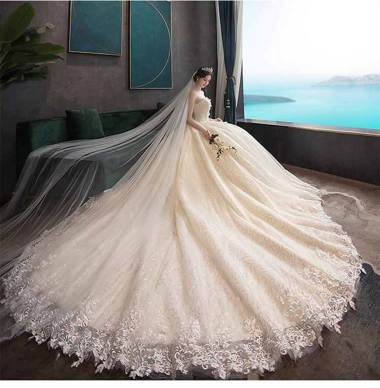 Chic Slim Champagne Strapless Wedding Dress Bridal Gown